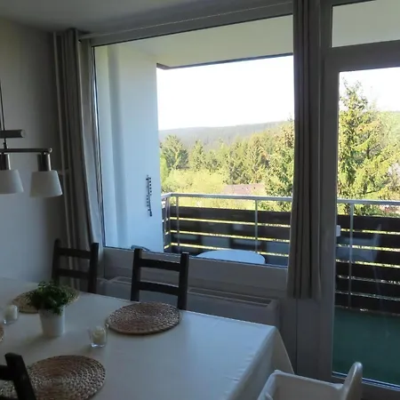 Mit Gratis W Lan Und Balkon Mit Tollem Ausblick Gegenueber Der Grossen Sauna Therme, * Altenau (Lower-Saxony)
